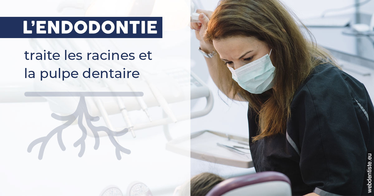 https://dr-naim-valerie.chirurgiens-dentistes.fr/L'endodontie 1