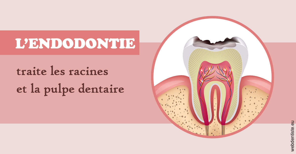 https://dr-naim-valerie.chirurgiens-dentistes.fr/L'endodontie 2