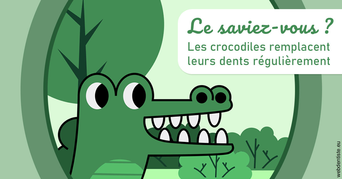 https://dr-naim-valerie.chirurgiens-dentistes.fr/Crocodiles 2